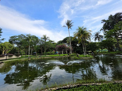 Bayshore Park (D16), Condominium #580666311